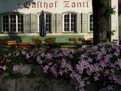 照片: Gasthof Zantl